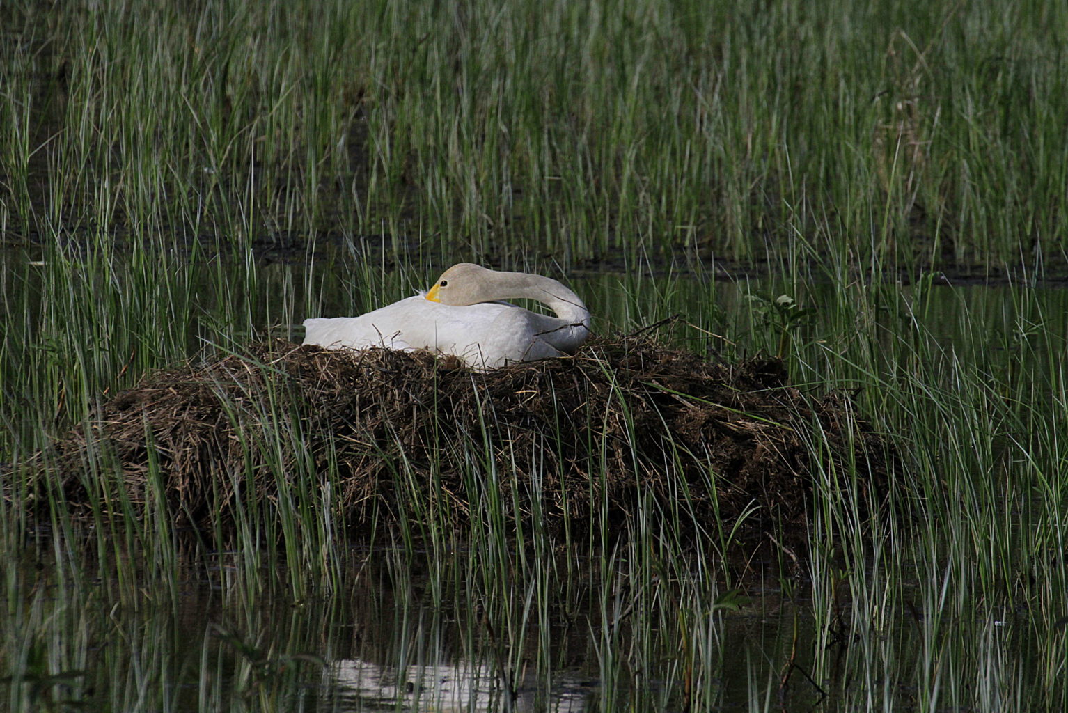 Valokuvaaja: Sirpa Jyske