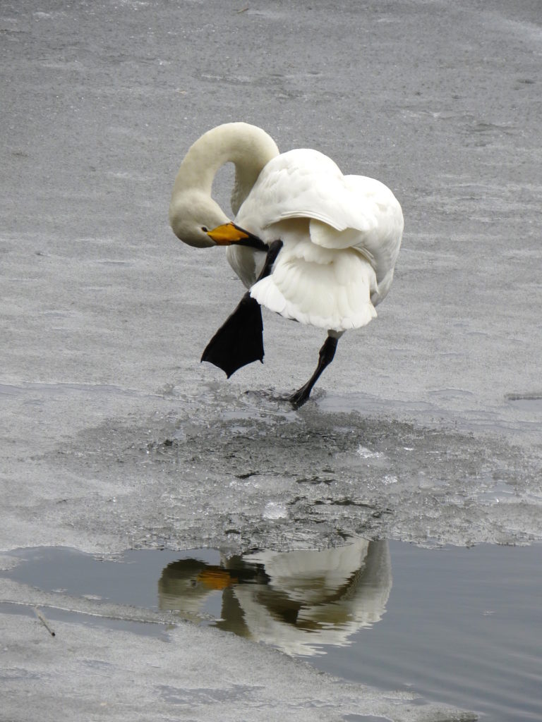 Valokuvaaja: Jaana Talvinen