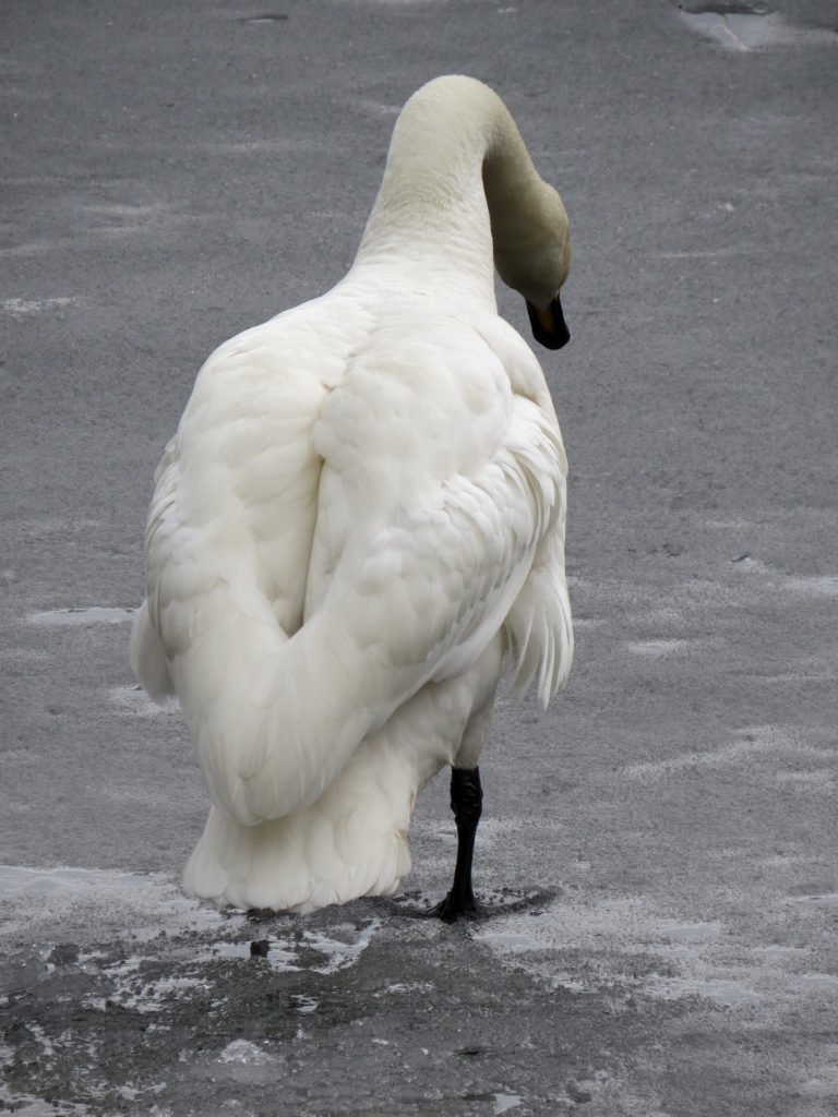 Valokuvaaja: Jaana Talvinen
