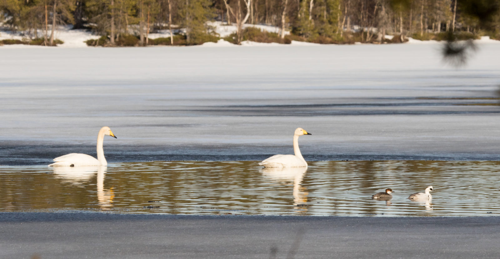 Valokuvaaja: Heikki Kainulainen