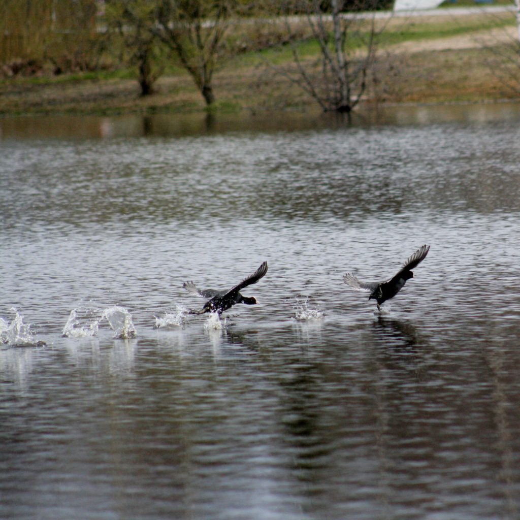 Valokuvaaja: Pirkko Siukonen