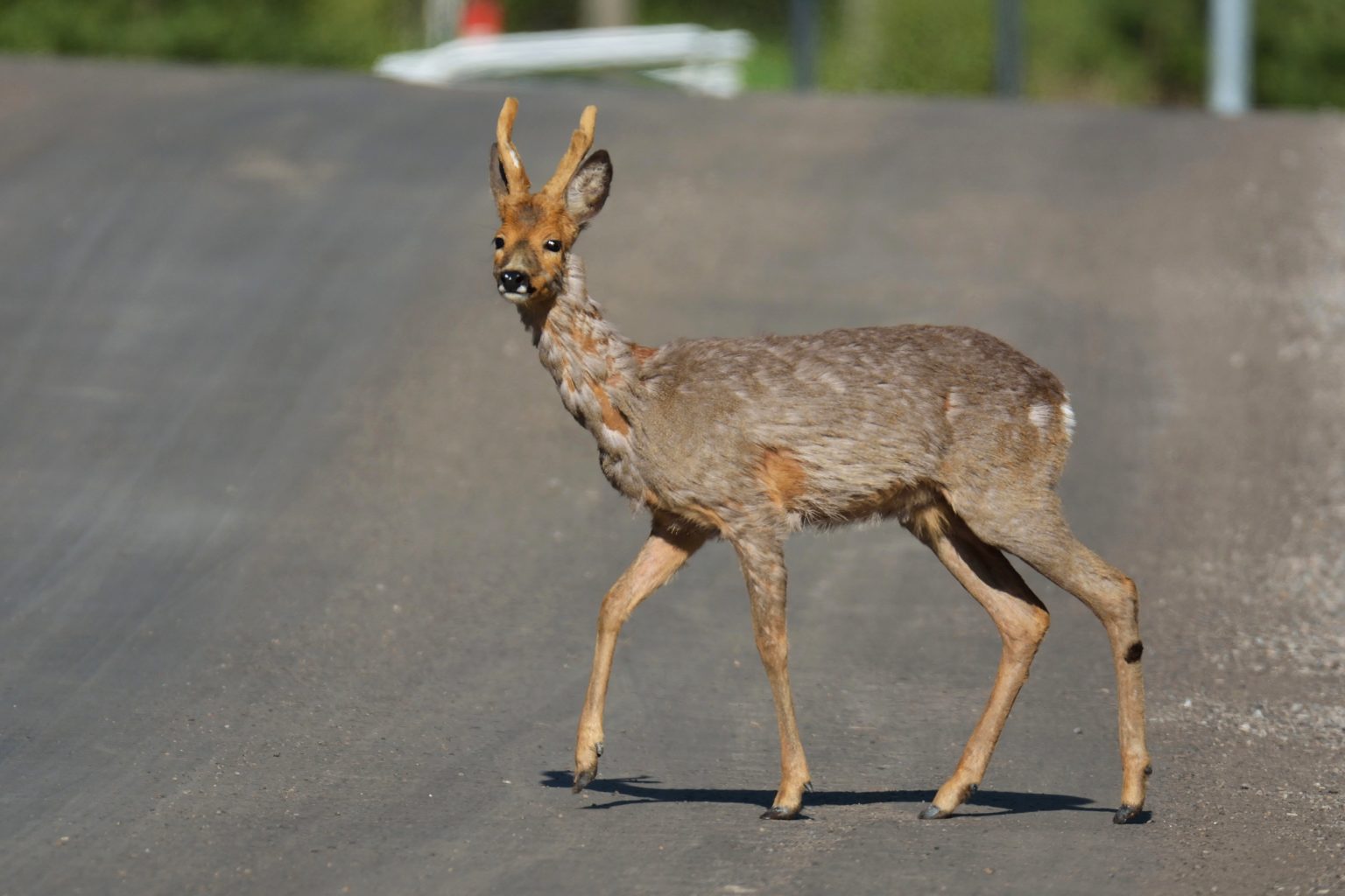 Valokuvaaja: Asko Heikkinen