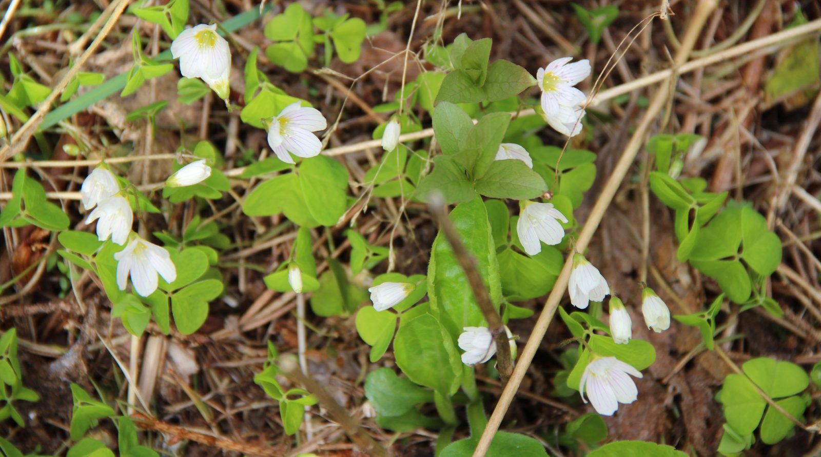 Valokuvaaja: Sinikka Kujala