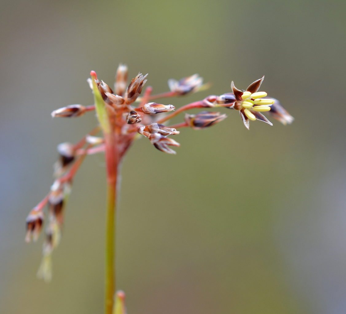 Valokuvaaja: Seija Annala