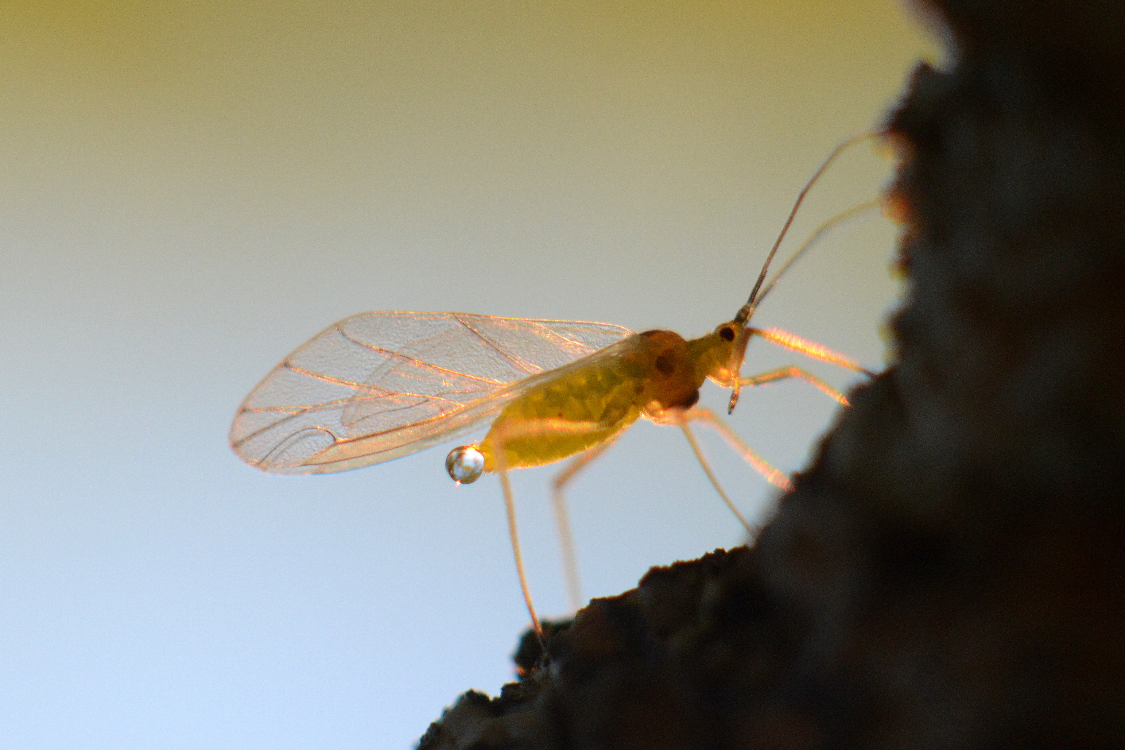 Valokuvaaja: Kalle Asikainen
