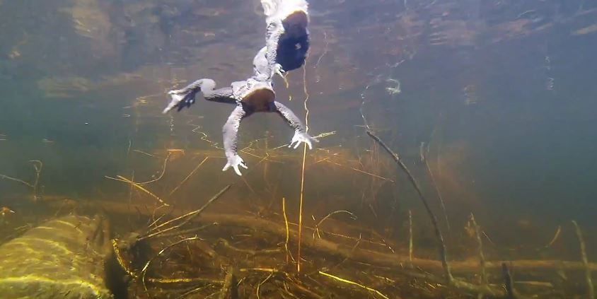 Valokuvaaja: Jasmin Khalef