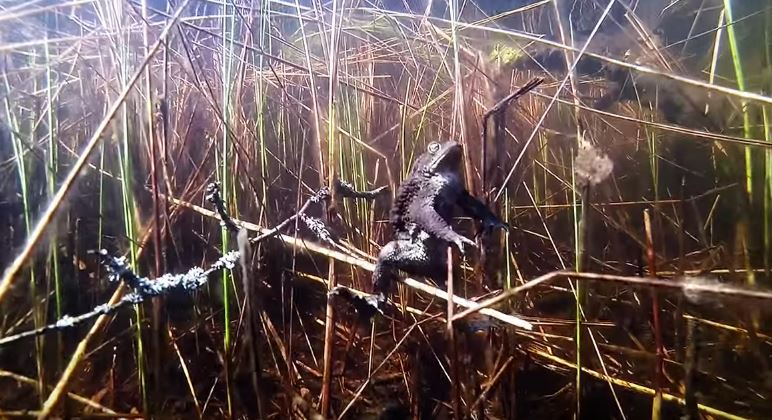 Valokuvaaja: Jasmin Khalef