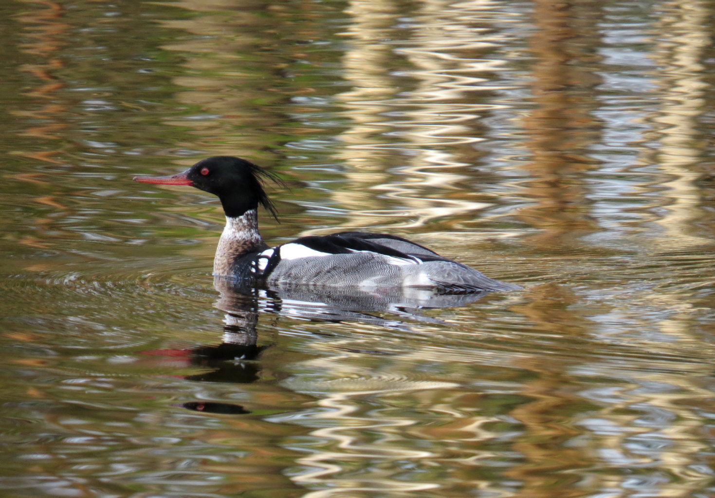 Valokuvaaja: Jaana Talvinen Valokuvaaja: Jaana Talvinen