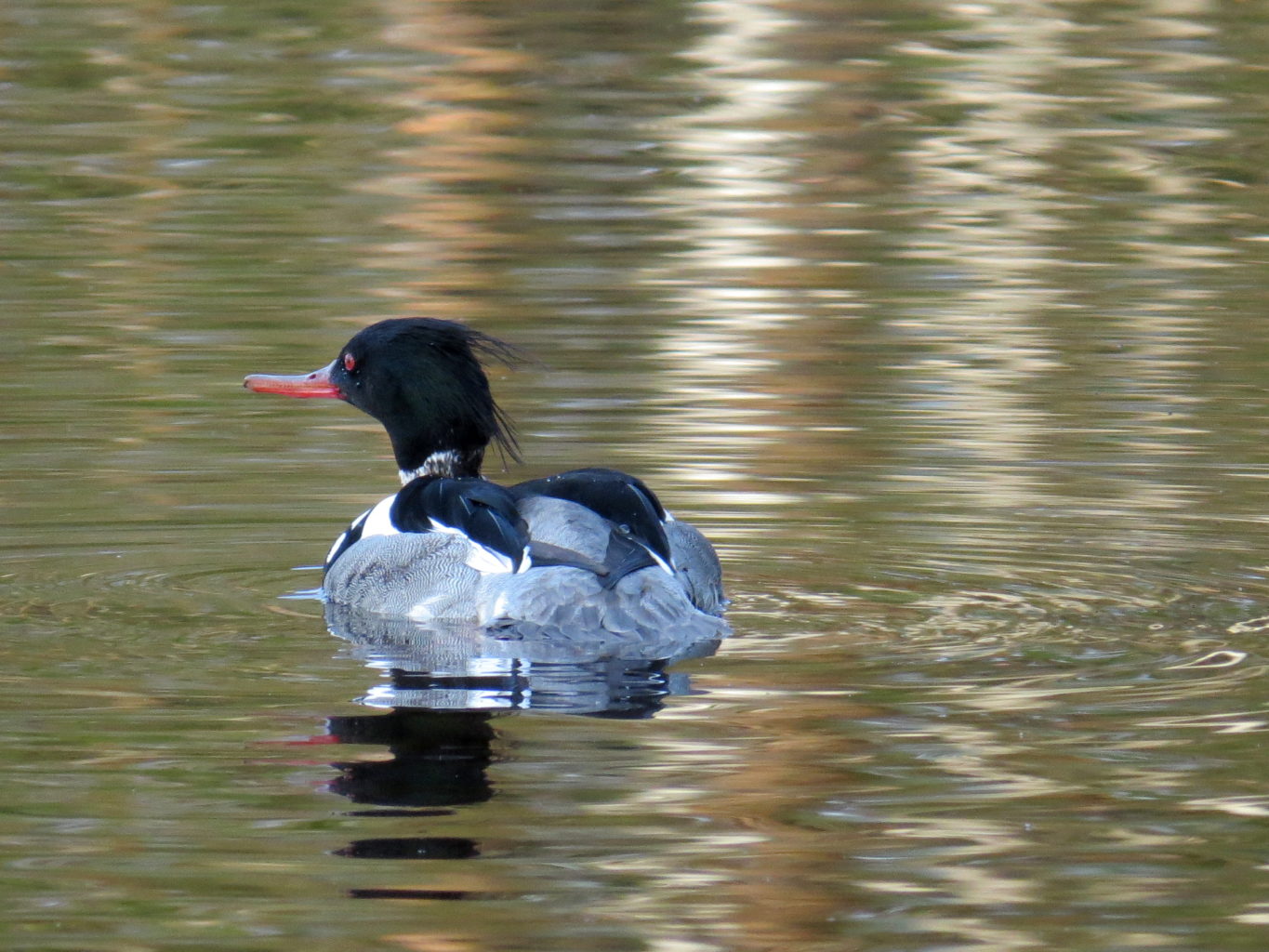Valokuvaaja: Jaana Talvinen