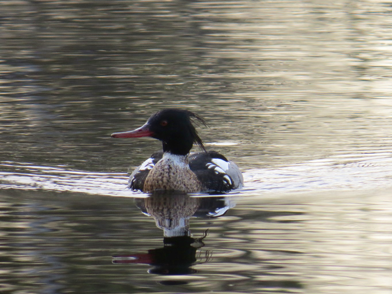 Valokuvaaja: Jaana Talvinen
