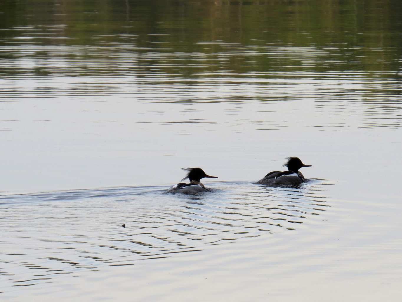 Valokuvaaja: Jaana Talvinen