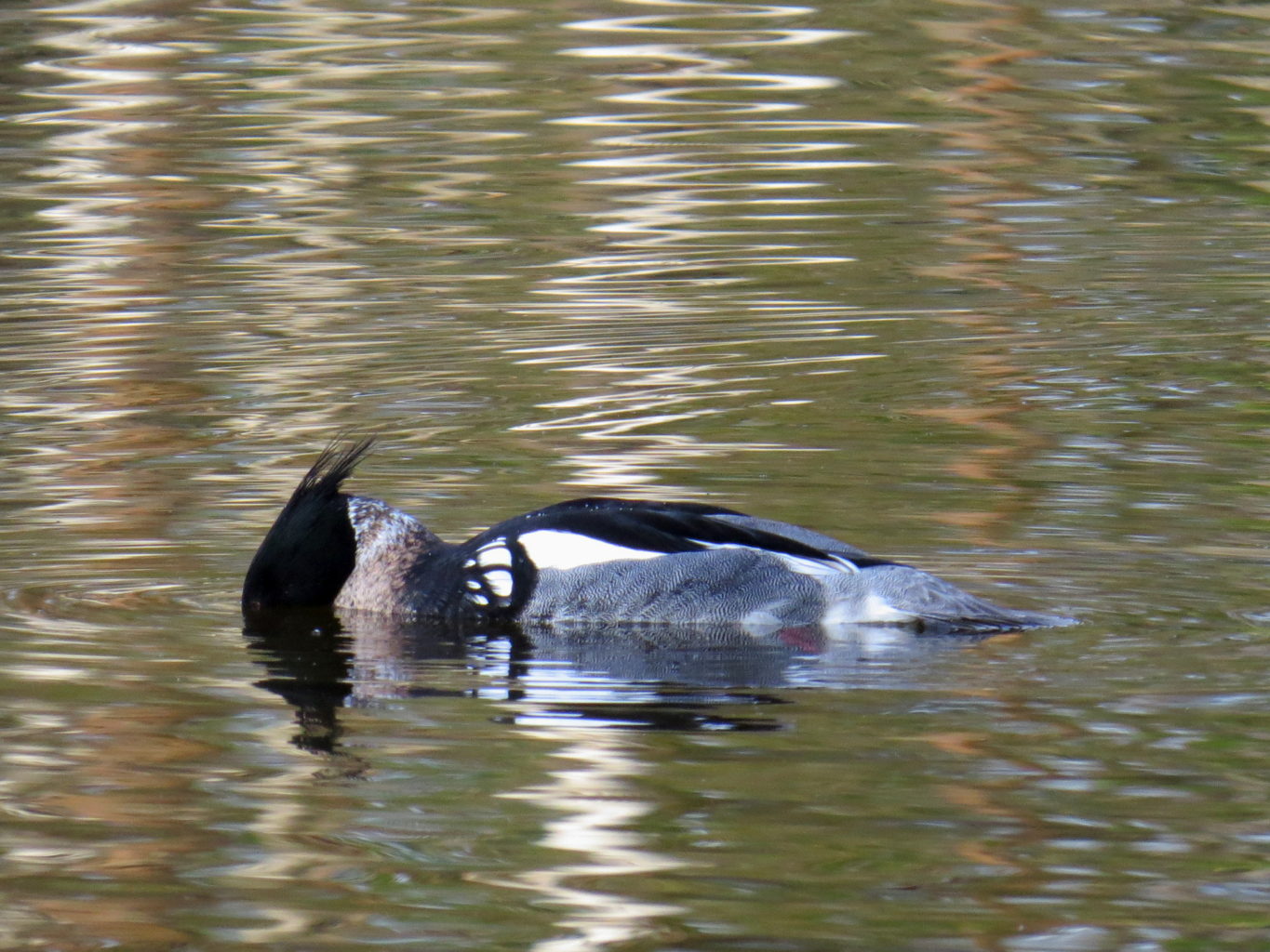 Valokuvaaja: Jaana Talvinen