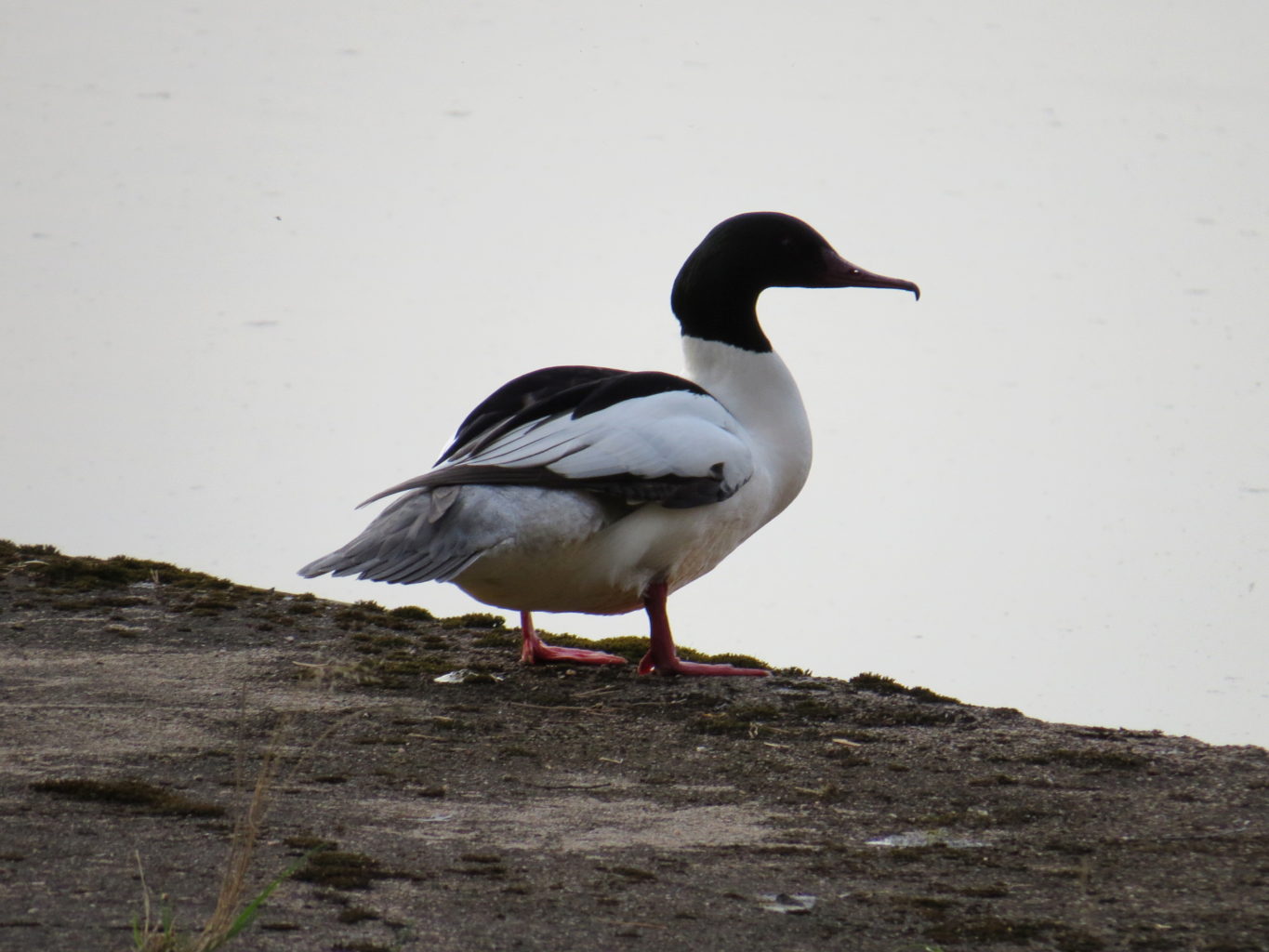 Valokuvaaja: Jaana Talvinen
