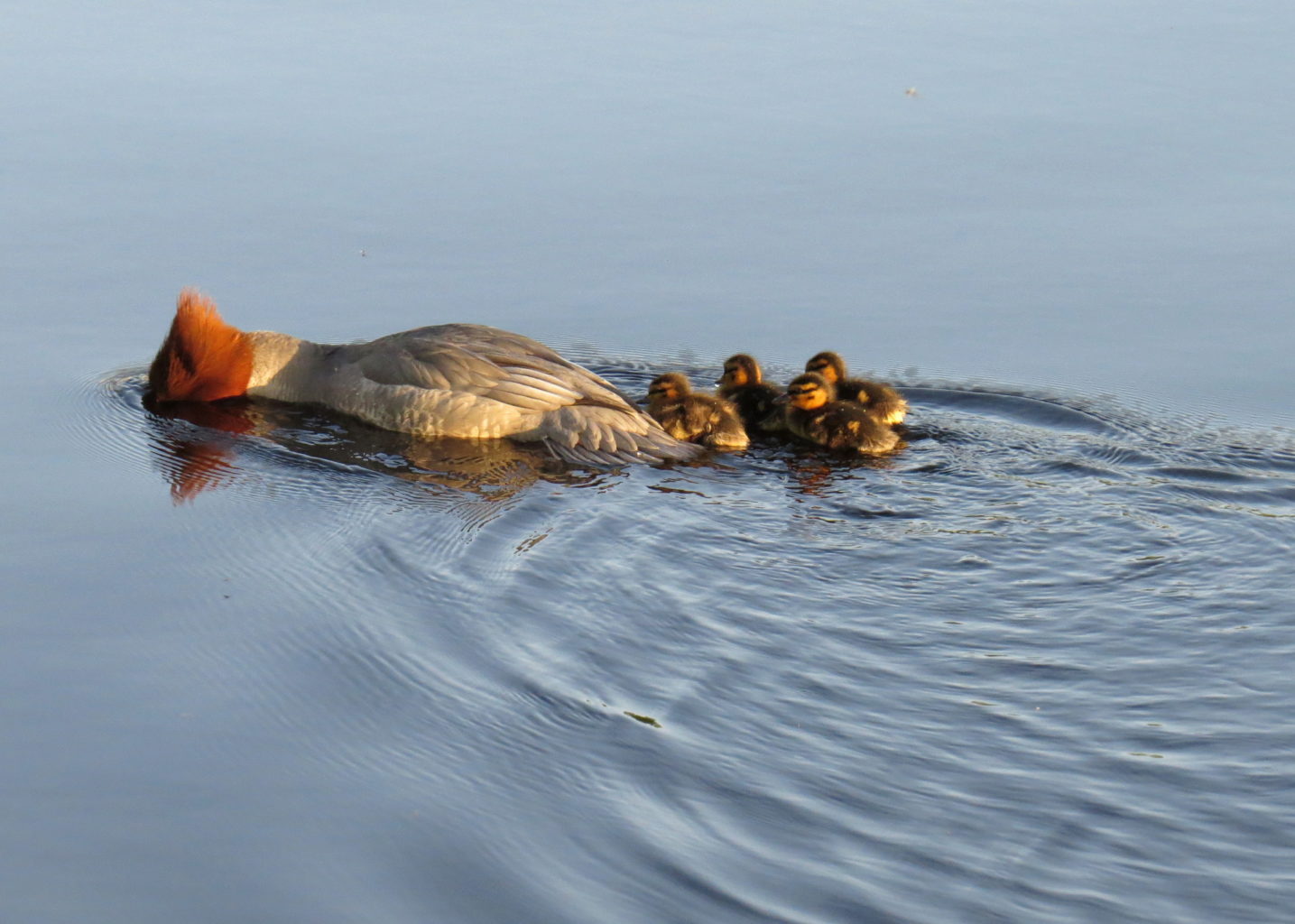 Valokuvaaja: Jaana Talvinen