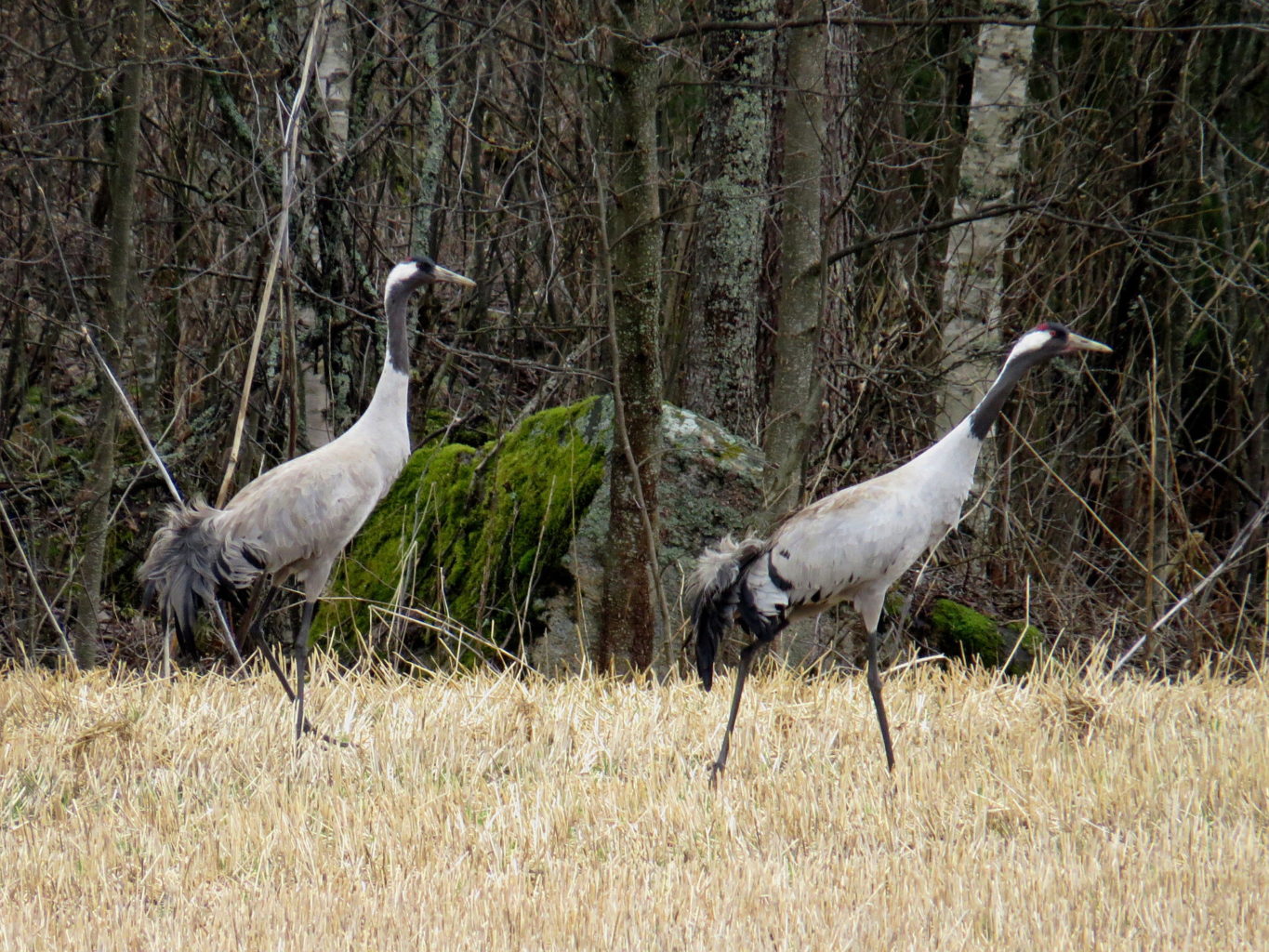 Valokuvaaja: Jaana Talvinen