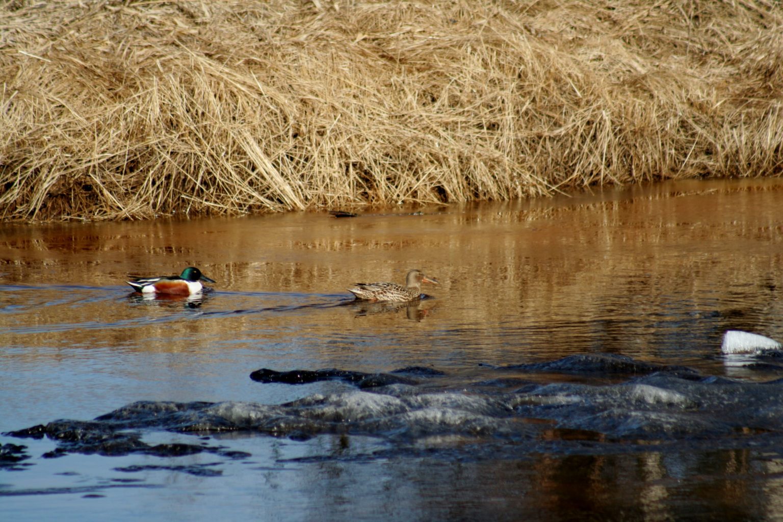 Valokuvaaja: Pirkko Siukonen Valokuvaaja: Pirkko Siukonen