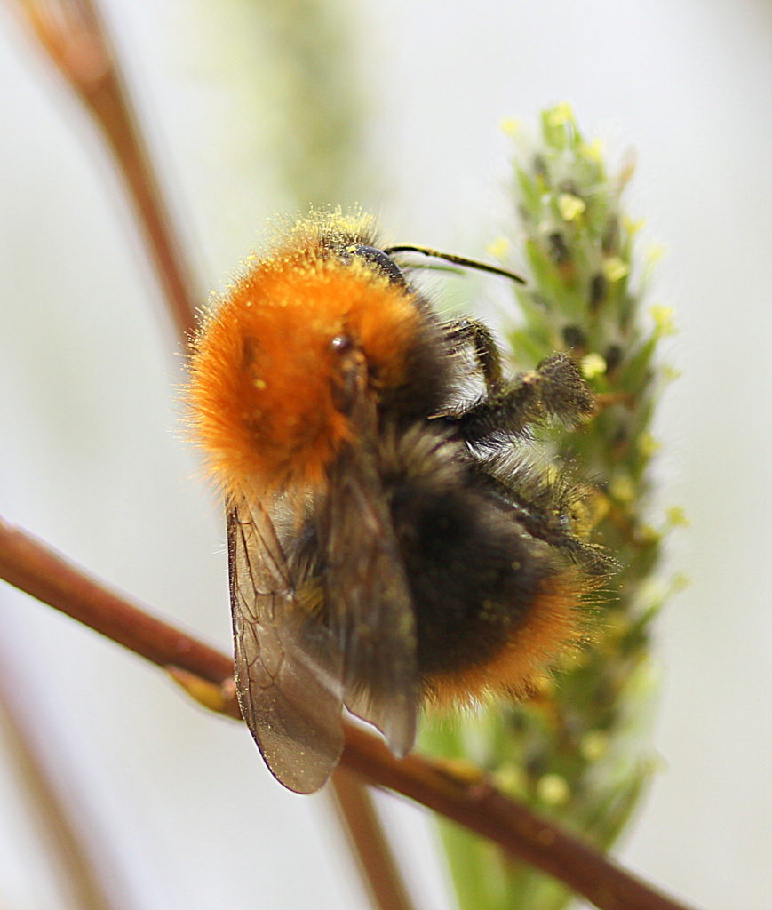 Valokuvaaja: Sirpa Jyske
