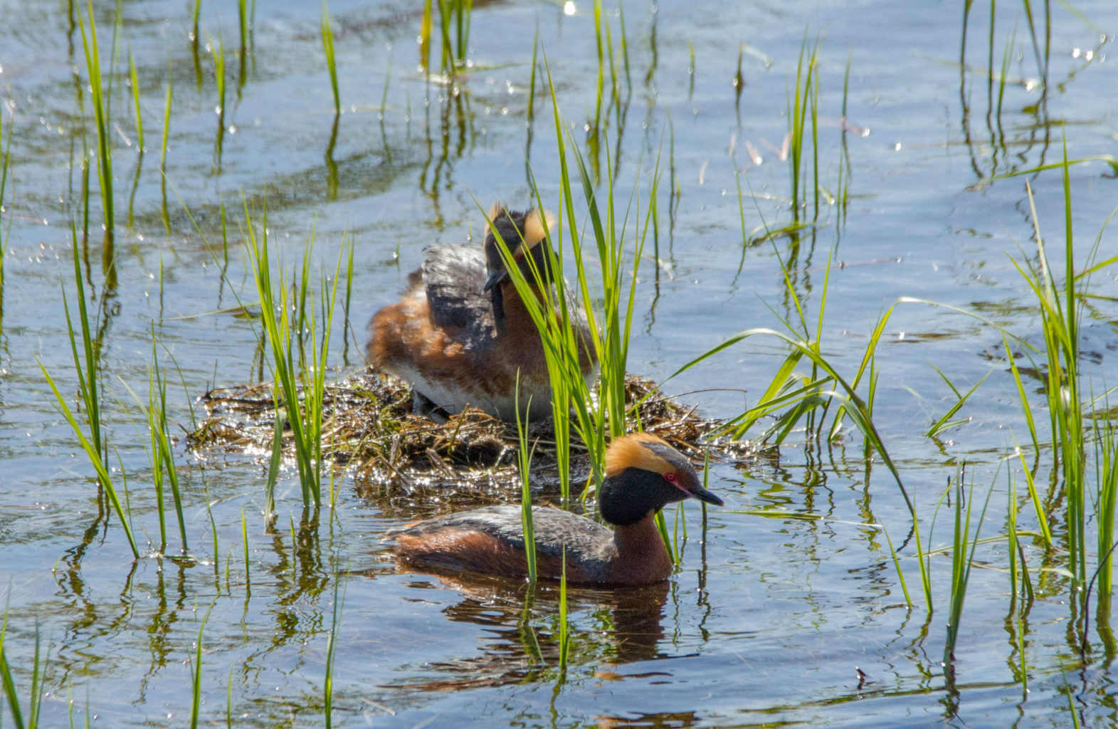 Valokuvaaja: Marjatta Koiksniemi