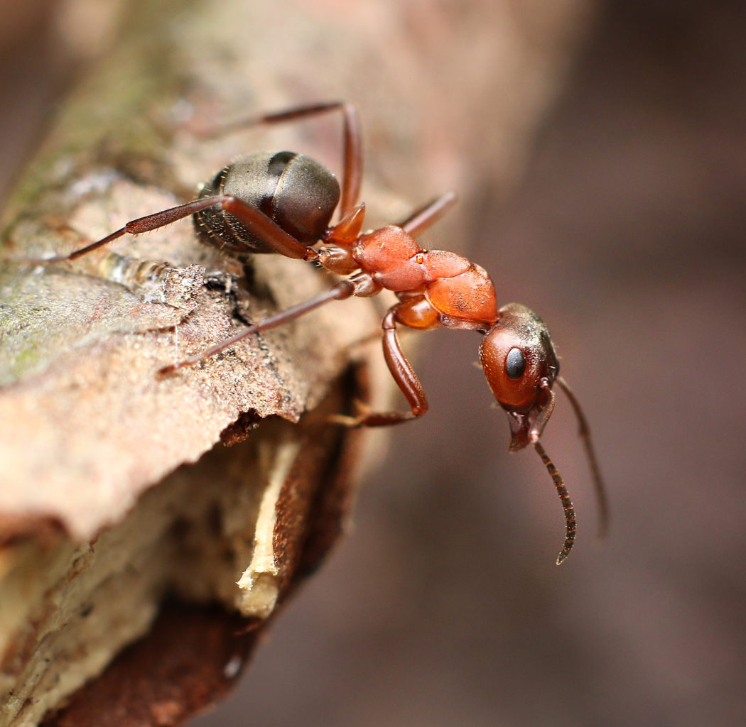 Valokuvaaja: Tarja Porkkala