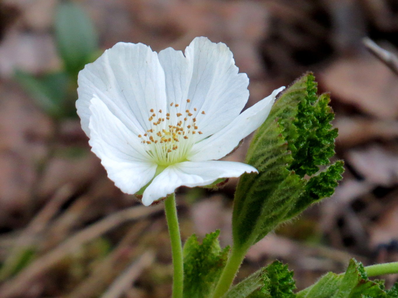 Valokuvaaja: Jaana Talvinen