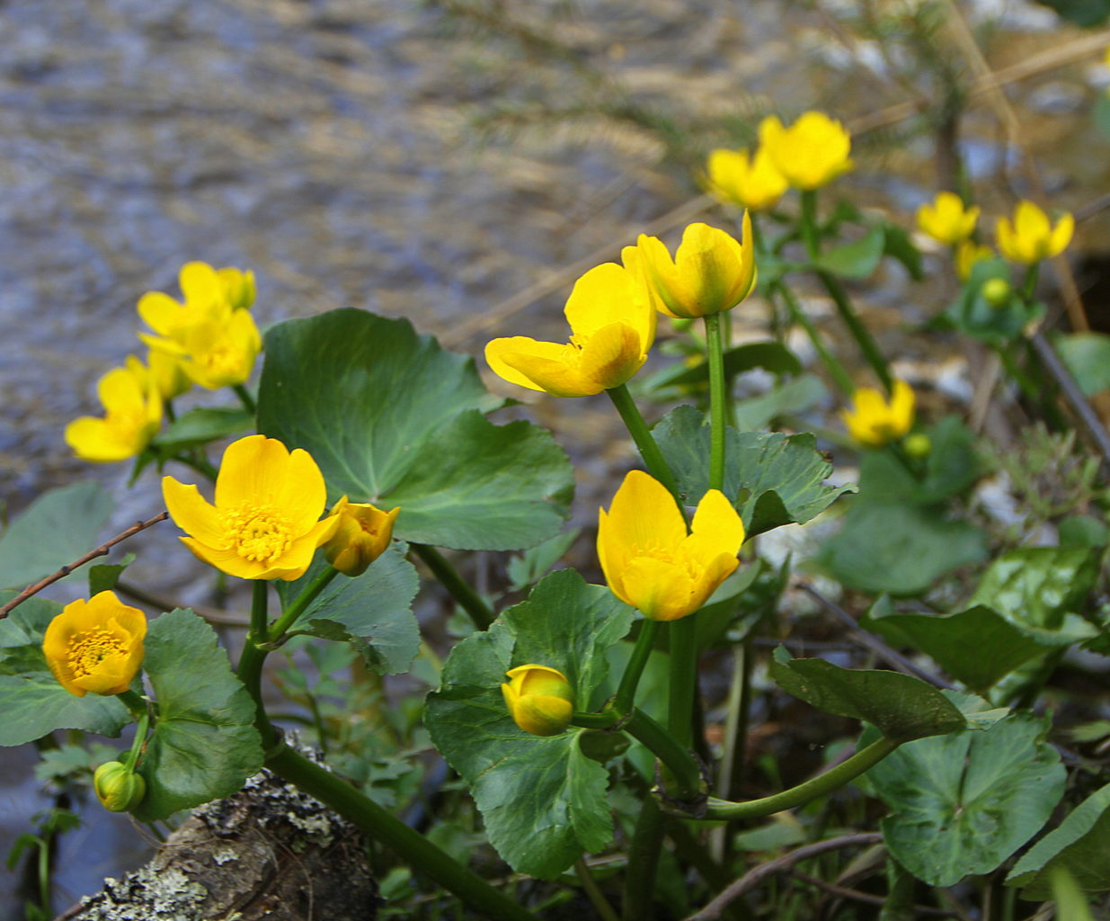 Valokuvaaja: Sirpa Jyske