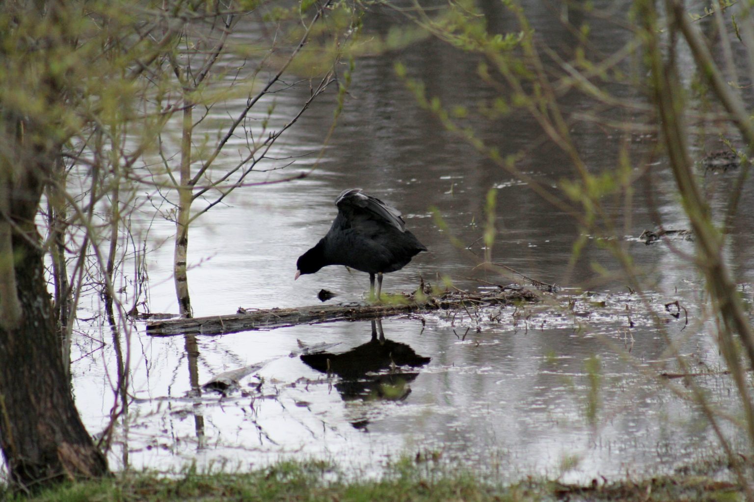 Valokuvaaja: Pirkko Siukonen