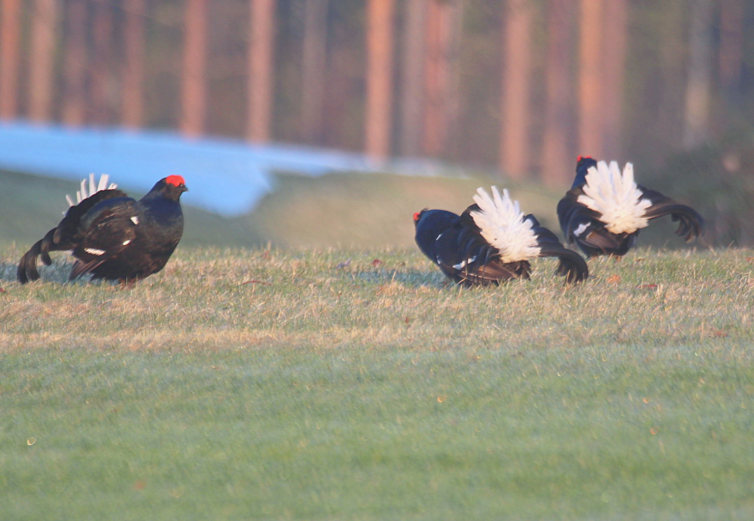 Valokuvaaja: Sirpa Jyske Valokuvaaja: Sirpa Jyske