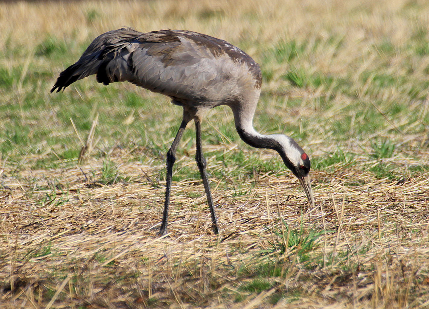 Valokuvaaja: Sirpa Jyske