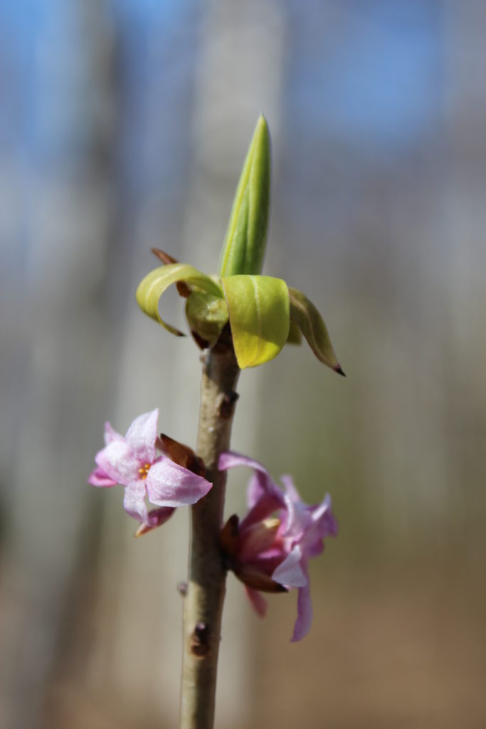 Valokuvaaja: Tiina Mäkinen