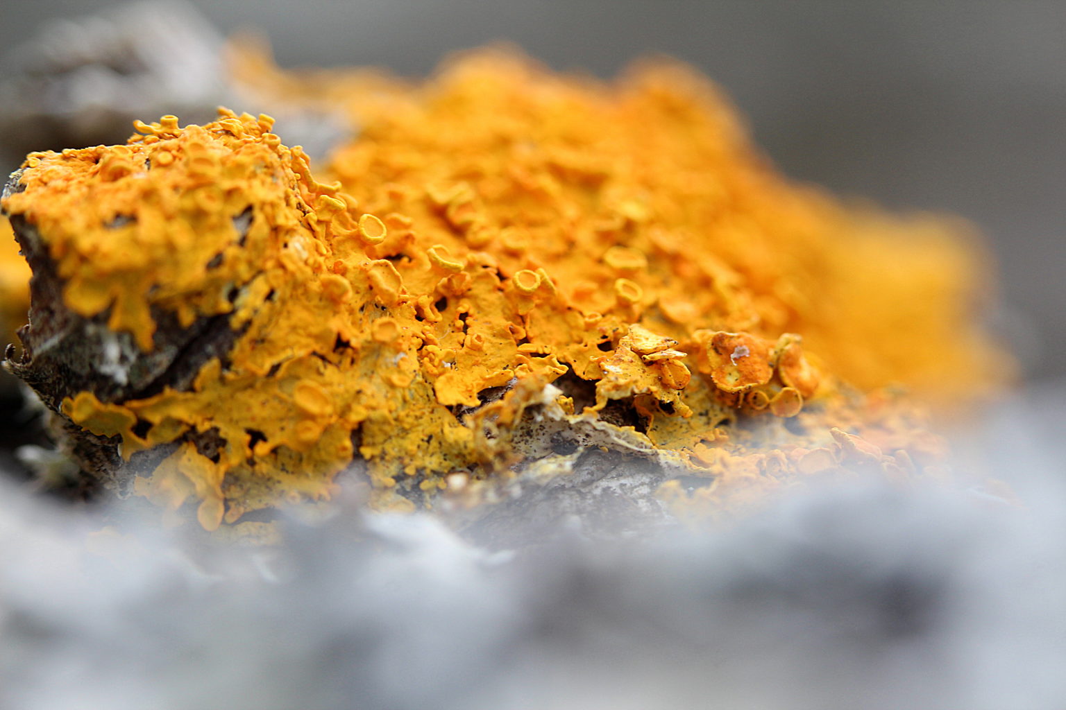 Valokuvaaja: Sirpa Jyske