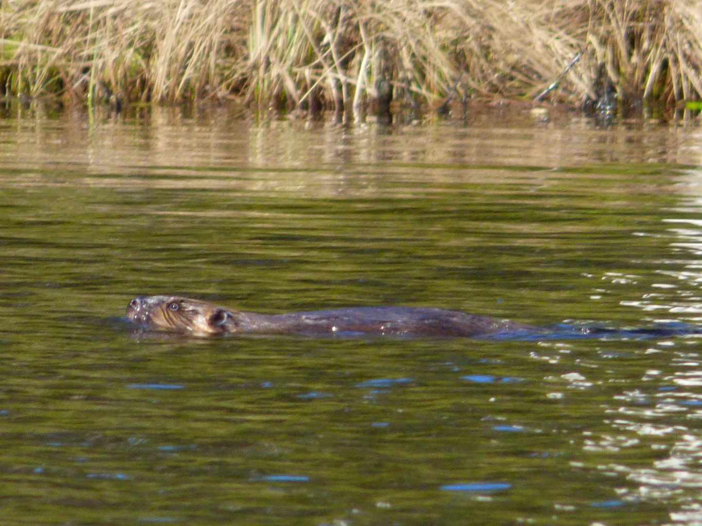 Valokuvaaja: Hannu Rissanen