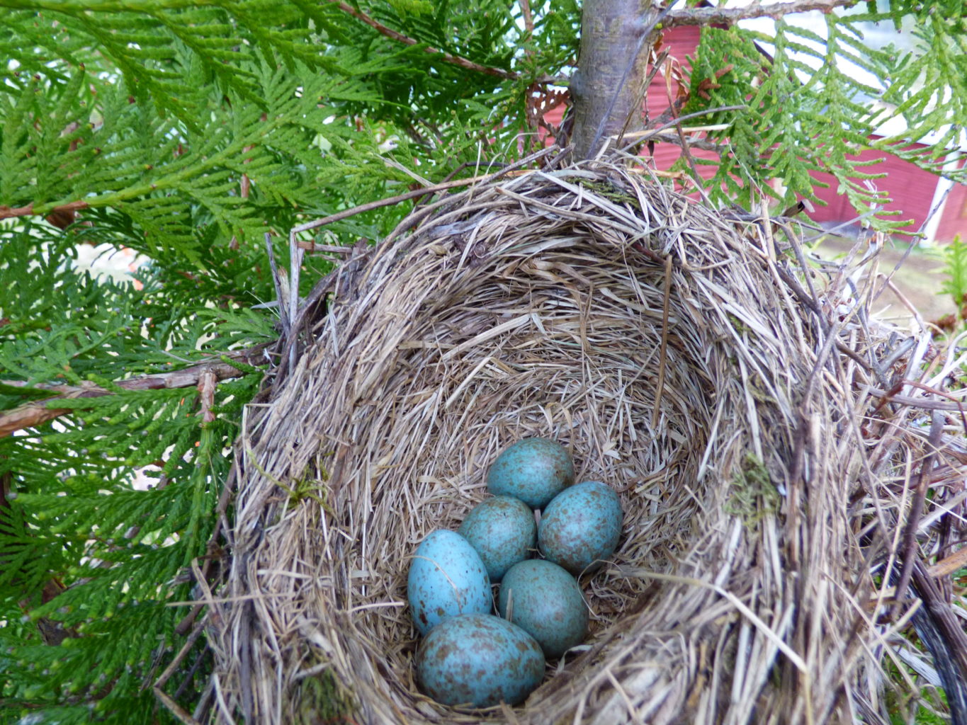 Valokuvaaja: Hannu Rissanen