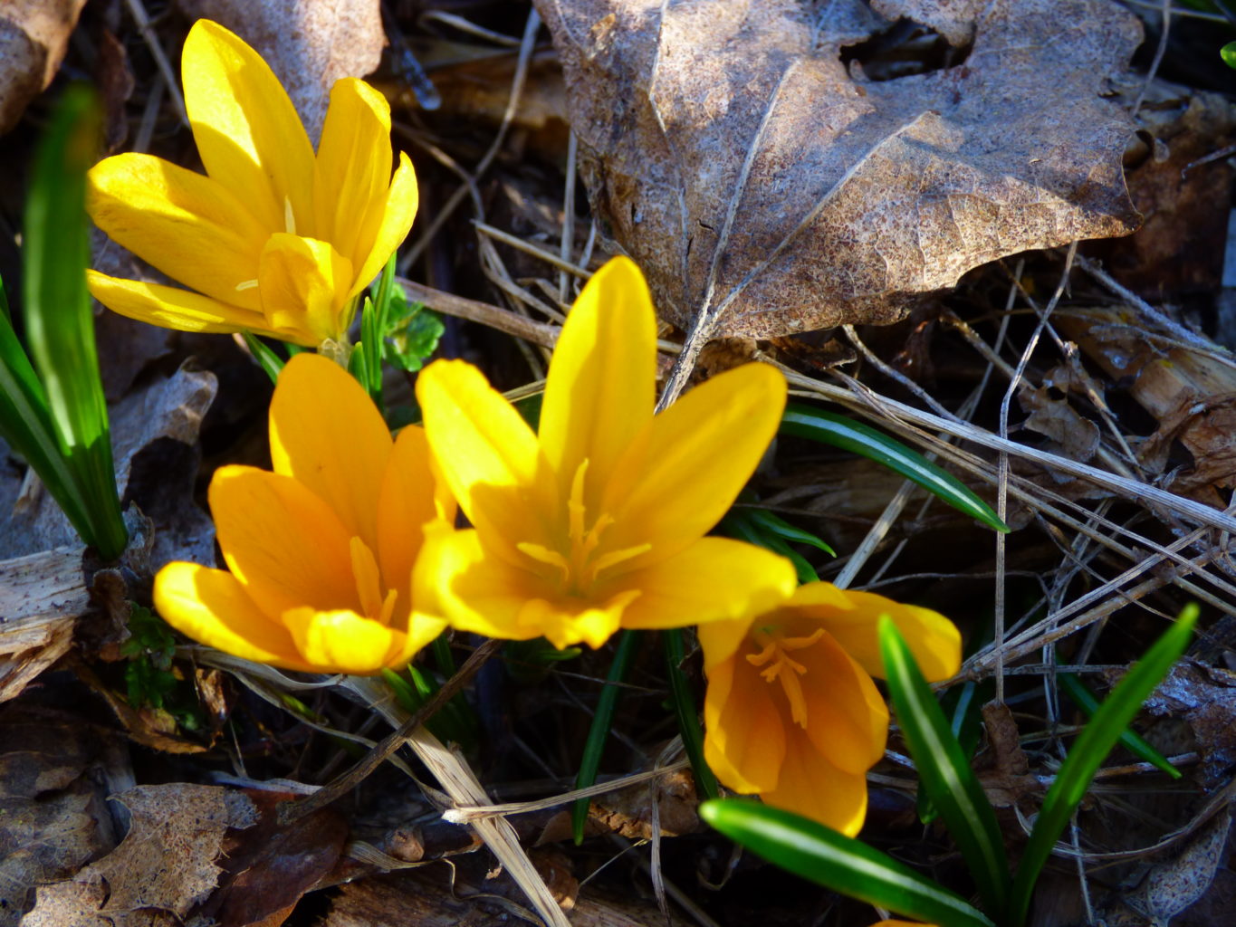 Valokuvaaja: Hannu Rissanen