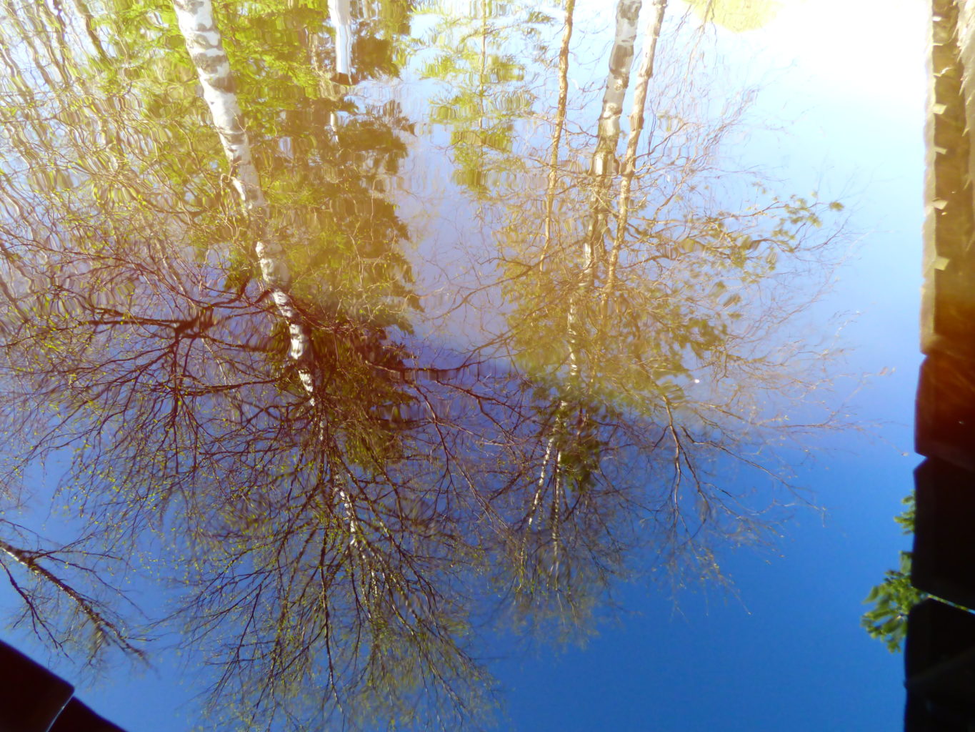 Valokuvaaja: Hannu Rissanen