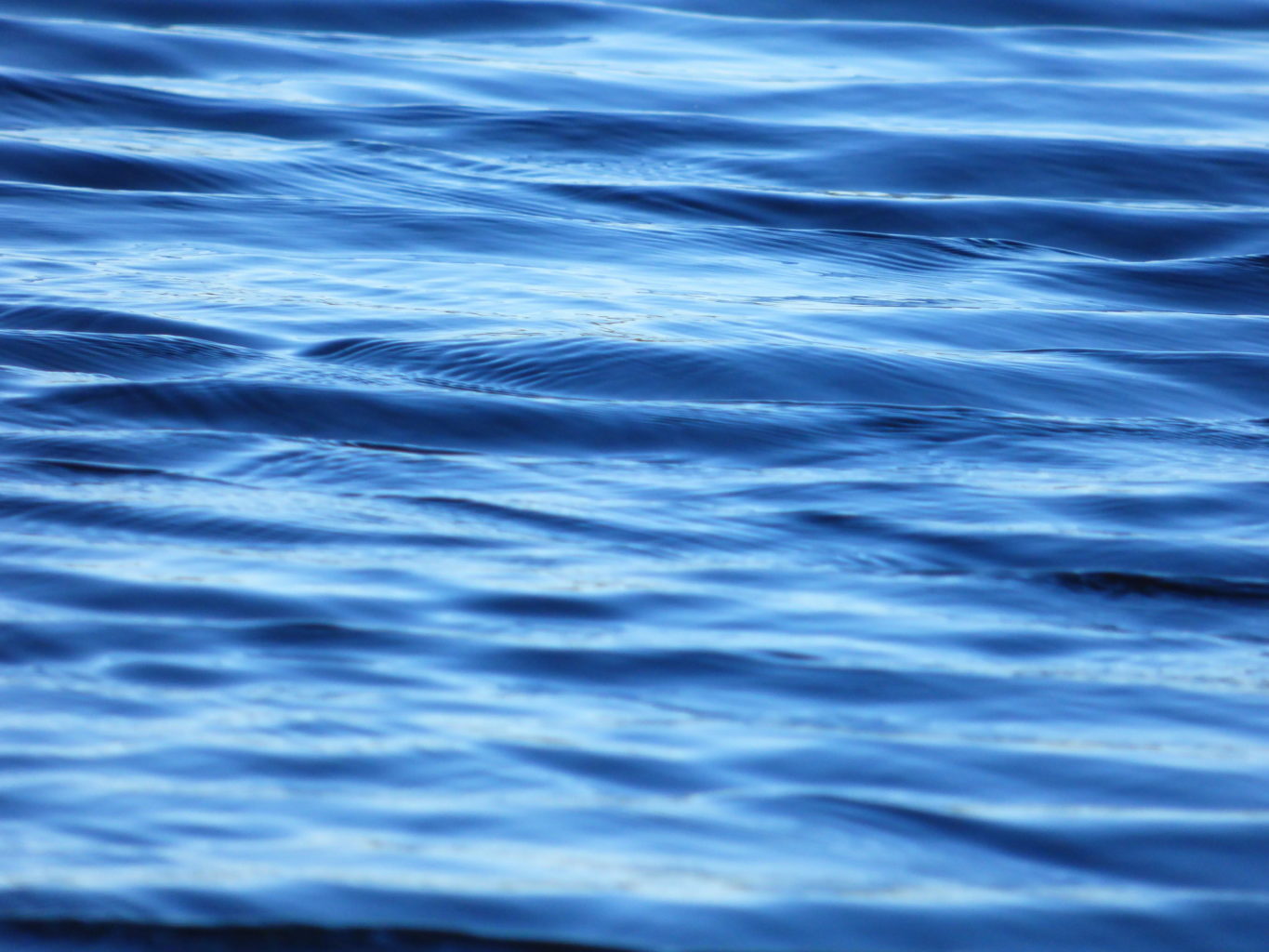 Valokuvaaja: Hannnu Rissanen