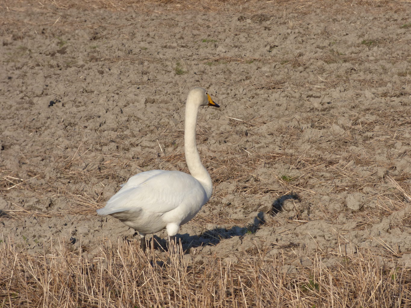 Valokuvaaja: Hannu Rissanen