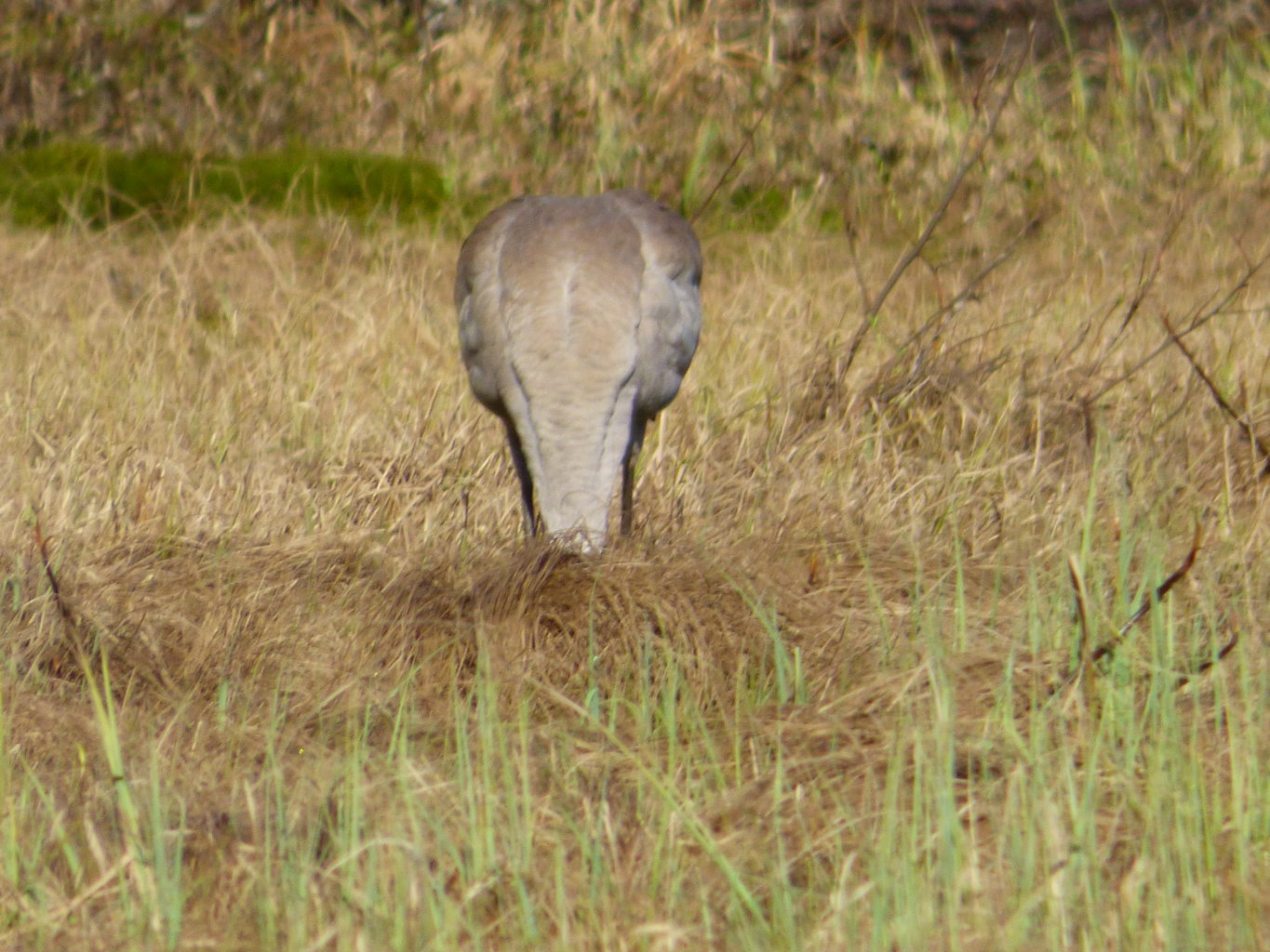 Valokuvaaja: Hannu Rissanen