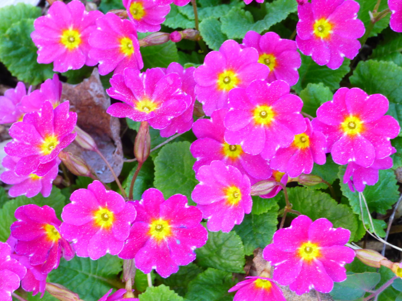 Valokuvaaja: Hannu Rissanen