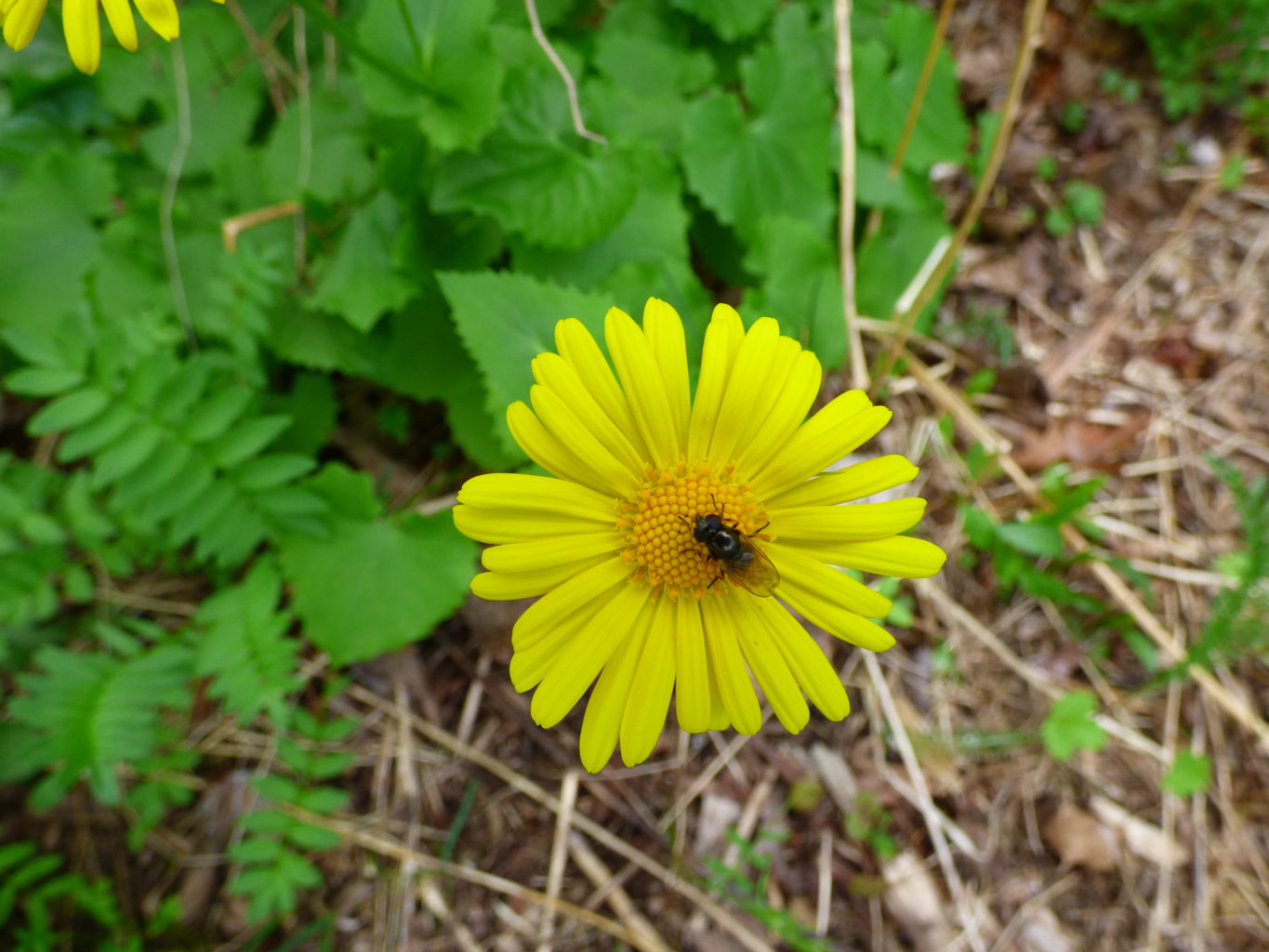 Valokuvaaja: Hannu Rissanen