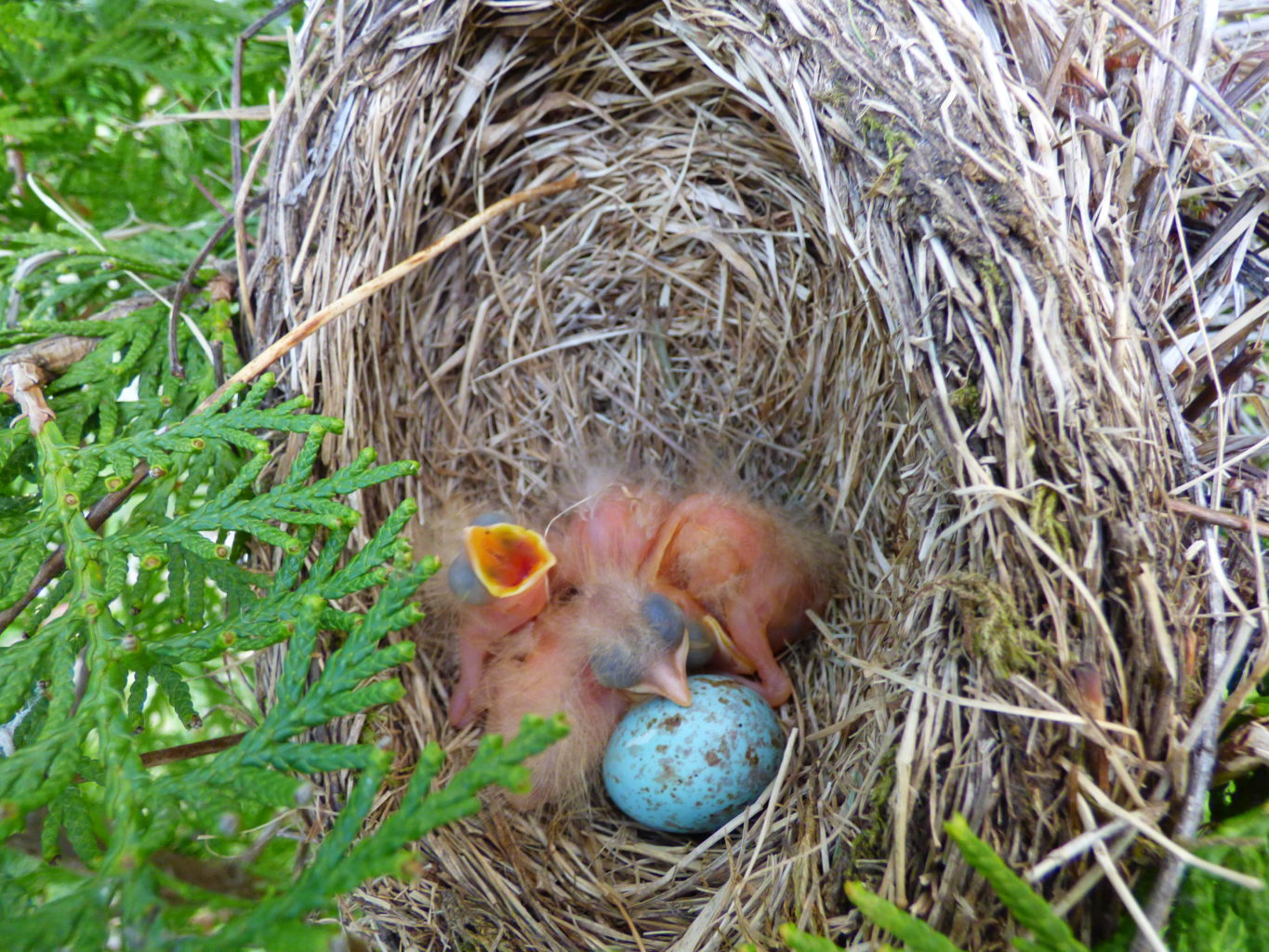 Valokuvaaja: Hannu Rissanen