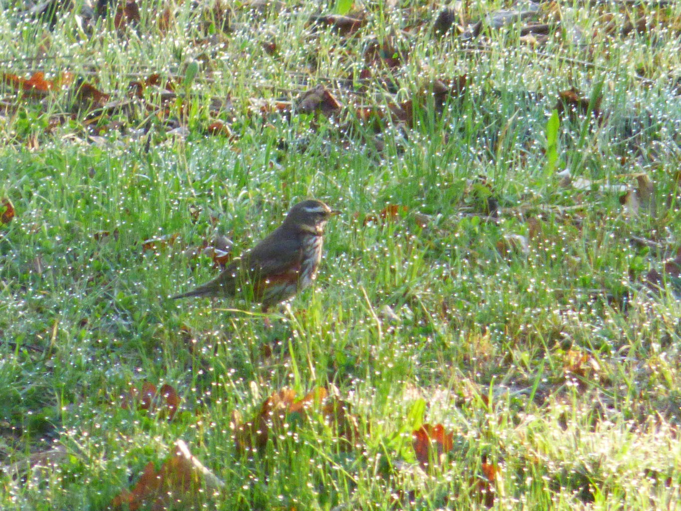 Valokuvaaja: Hannu Rissanen