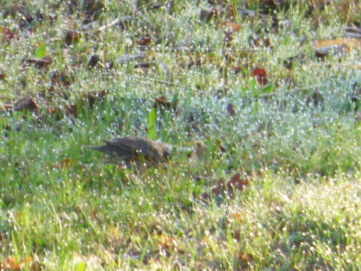 Valokuvaaja: Hannu Rissanen