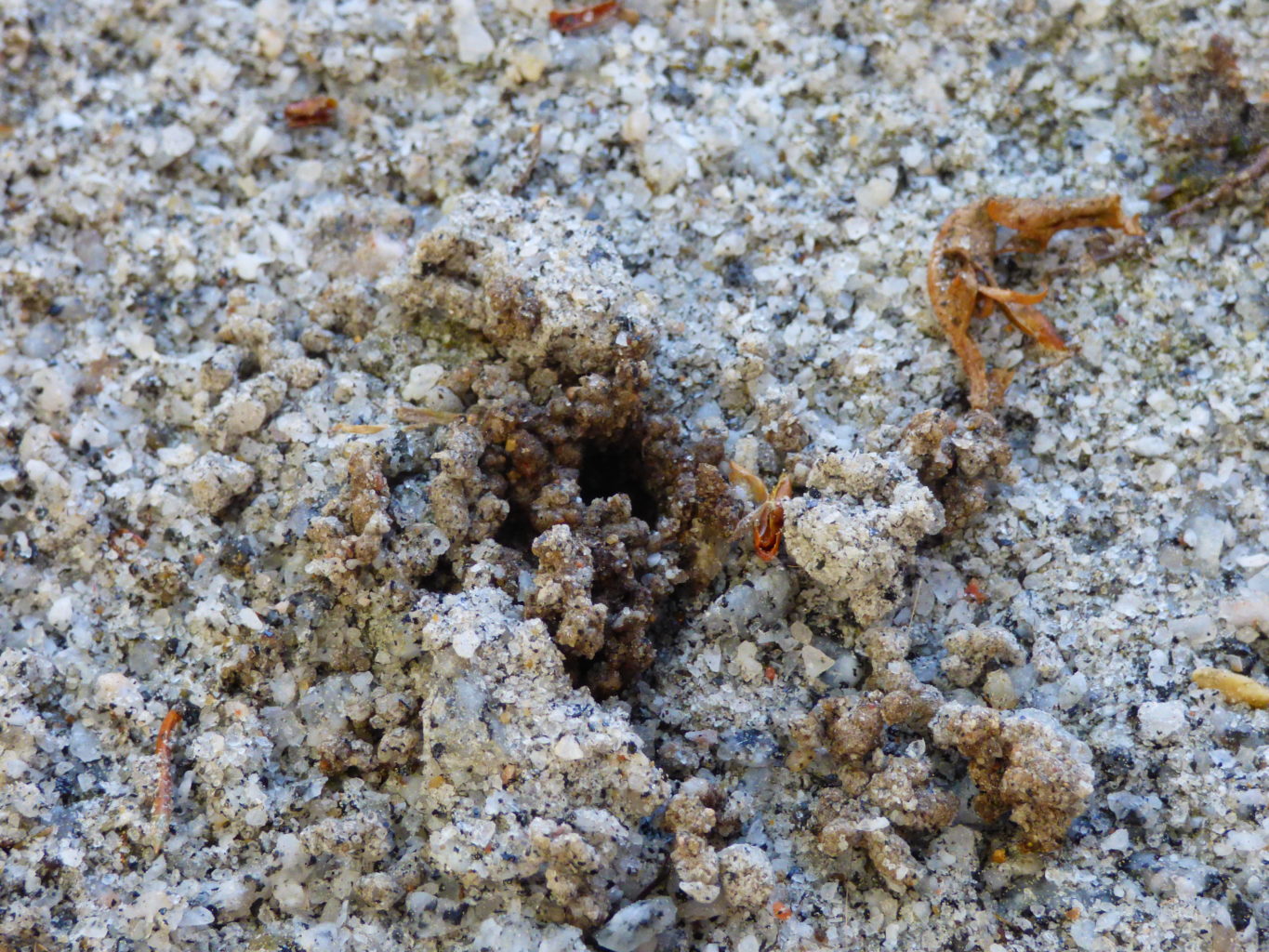 Valokuvaaja: Hannu Rissanen