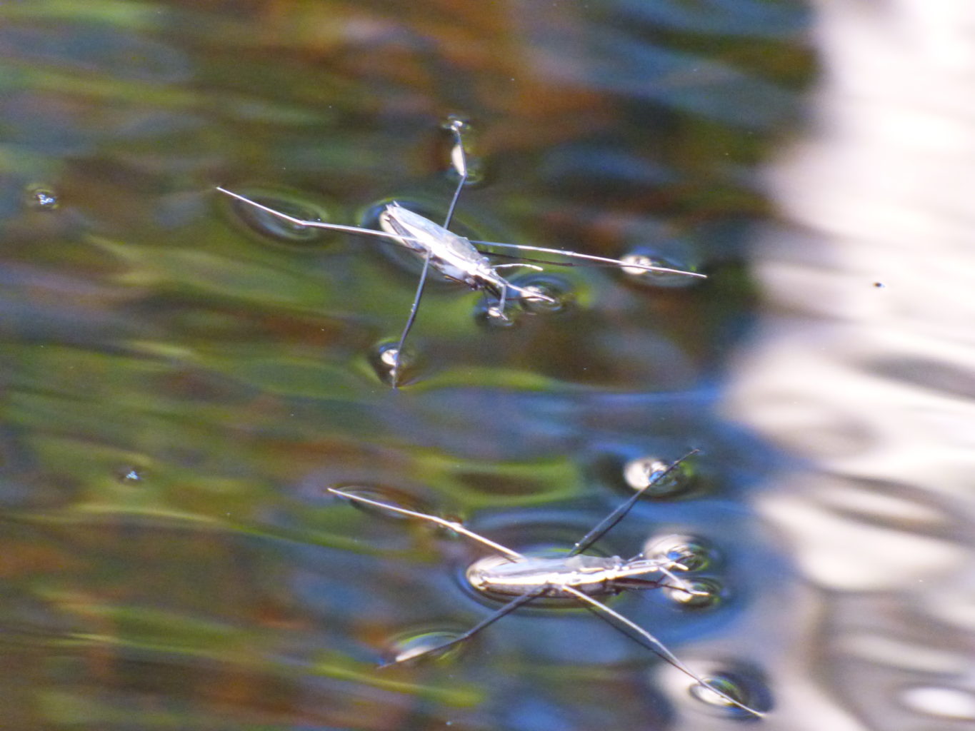 Valokuvaaja: Hannu Rissanen