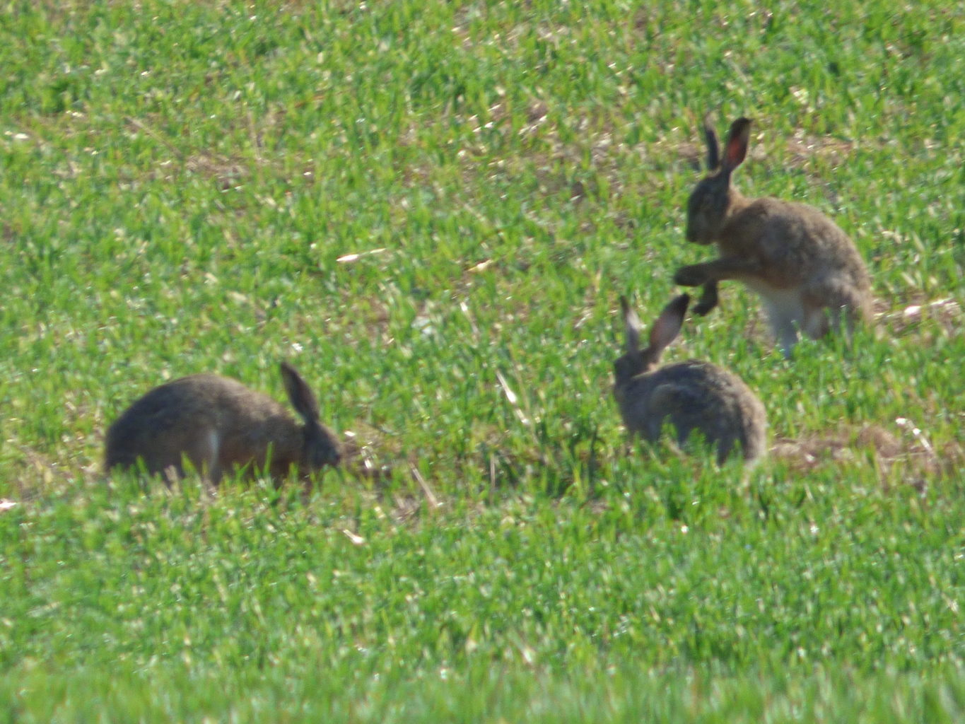 Valokuvaaja: Hannu Rissanen