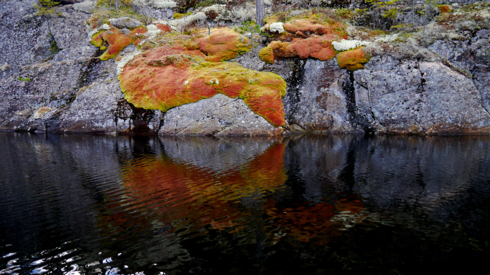Valokuvaaja: Merja Ylihärsilä Valokuvaaja: Merja Ylihärsilä
