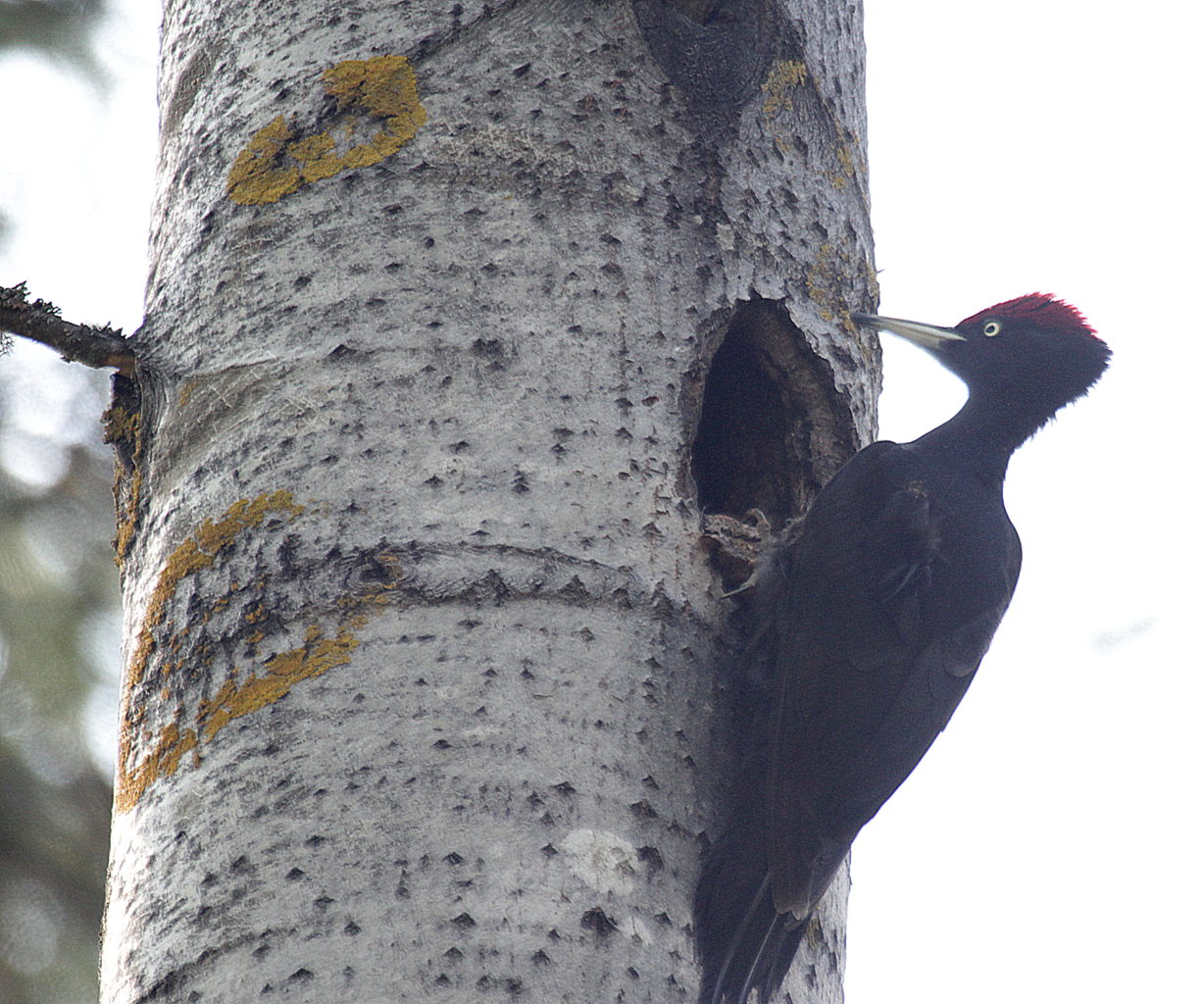 Valokuvaaja: Sirpa Jyske