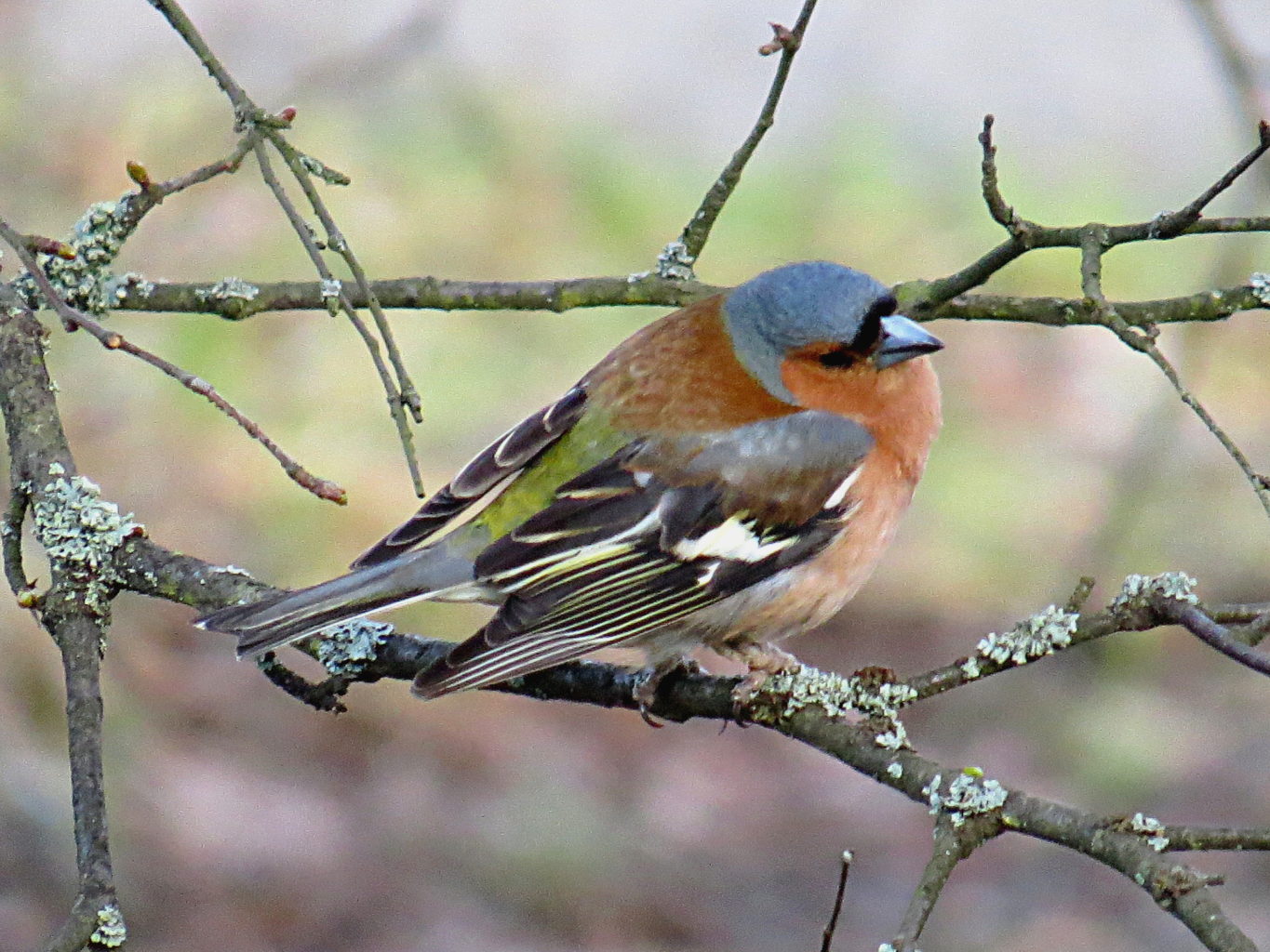 Valokuvaaja: Jaana Talvinen