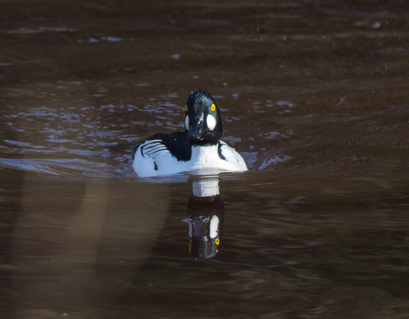 Valokuvaaja: Sirkka Karppinen