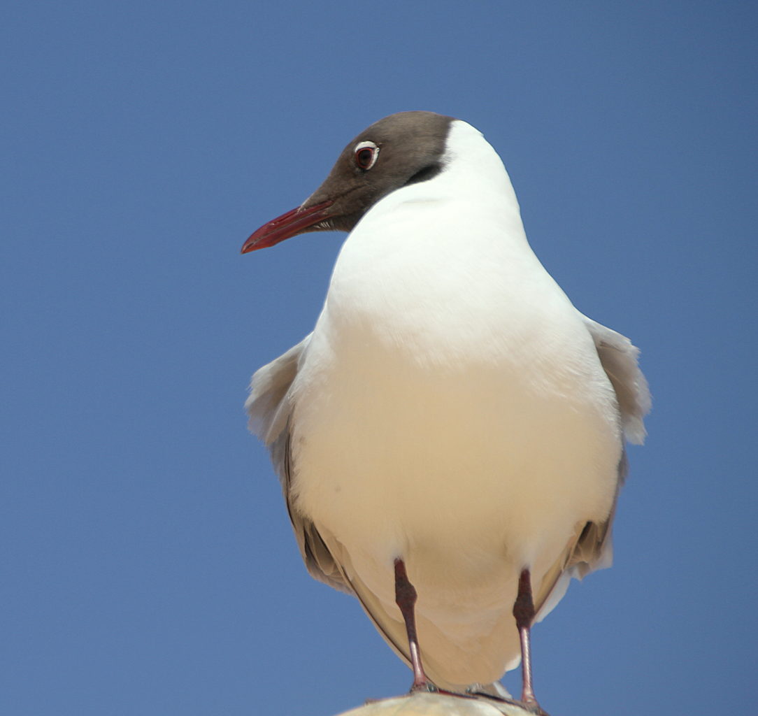 Valokuvaaja: Sirpa Jyske